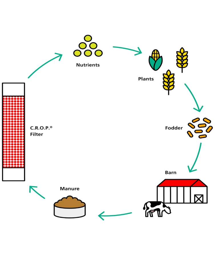 Nährstoffe im Kreislauf halten – Warum Wirtschaftsdünger der Schlüssel für eine nachhaltige Landwirtschaft ist